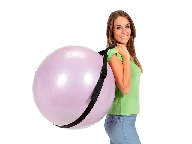 gymnic-carry-strap-sangle-de-transport-pour-ballons-55-et-65-cm image 1