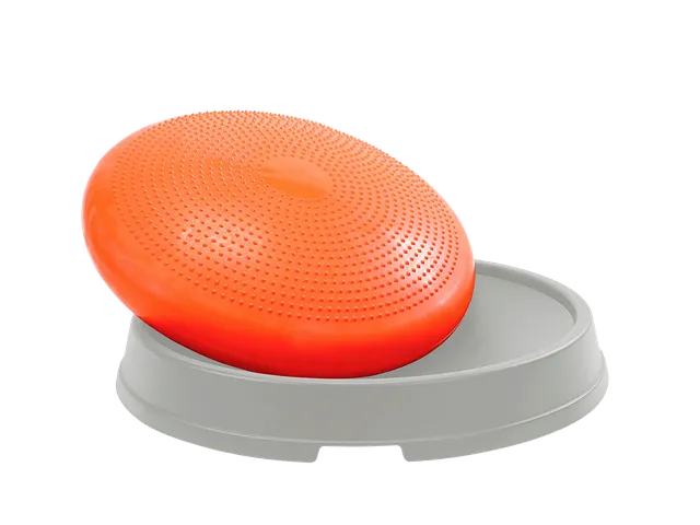 gymnic-disco-dome-base-coussin-quilibre image 1