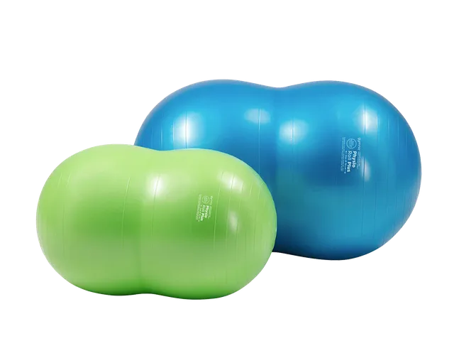 gymnic-physio-roll-plus-ballon-cacahu-te-physioth-rapie-brq image 1