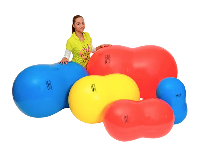 gymnic-physio-roll-ballon-cacahu-te-r-ducation-stable image 1