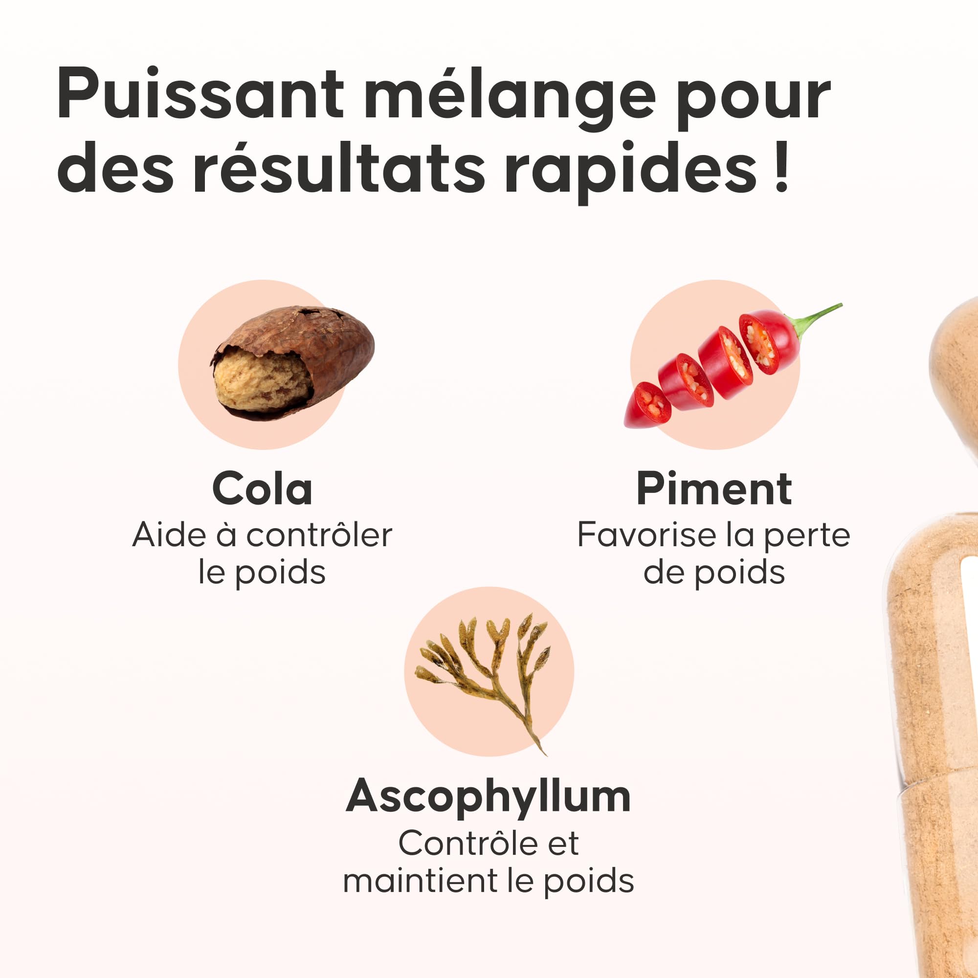 cellublue-g-lules-perte-de-poids-br-le-graisses-60-capsules-vegan image 3