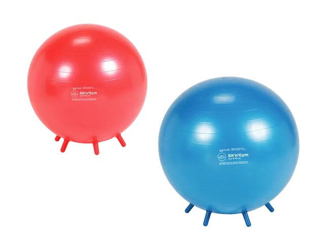 gymnic-sit-n-gym-ballon-d-assise-ergonomique image 1