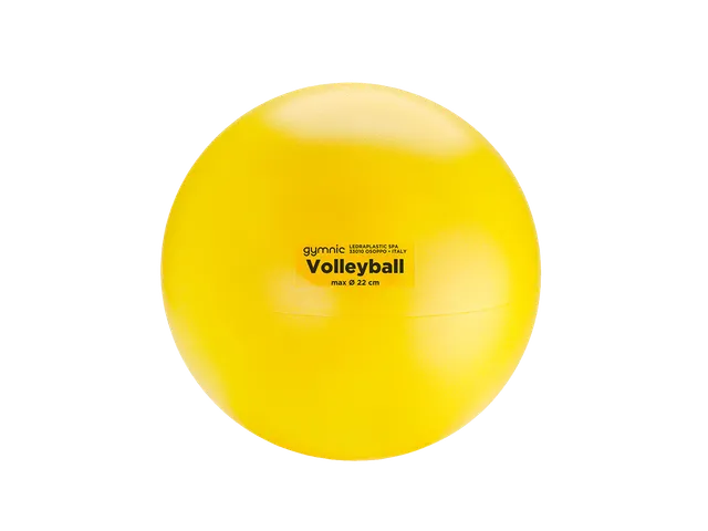gymnic-volleyball-ballon-souple-soft-touch image 1