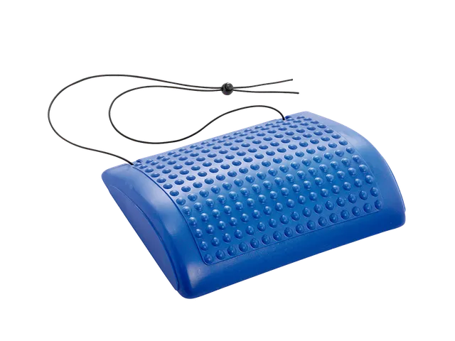 gymnic-comfort-a-back-coussin-gonflable-de-soutien-lombaire image 1