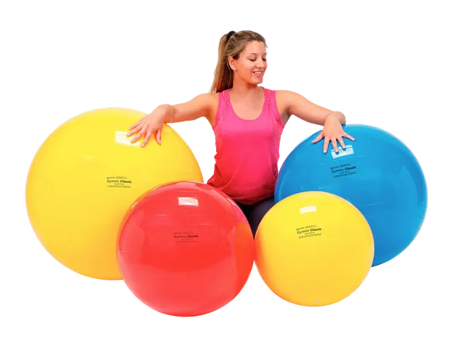 gymnic-classic-swiss-ball-de-physioth-rapie-et-pilates image 1